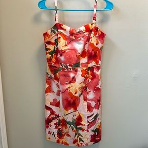 Kristin Davis Floral Print Dress women’s size 4